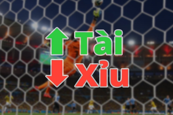 Hãy nghe lời khuyên từ chuyên gia khi chơi Tài Xỉu 1 Trái