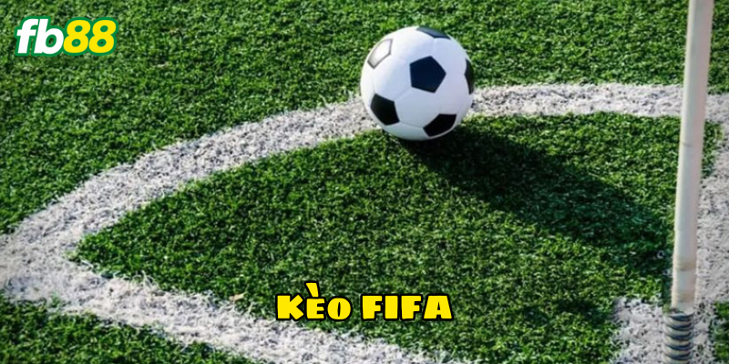 Cách đọc Kèo FIFA đúng cách